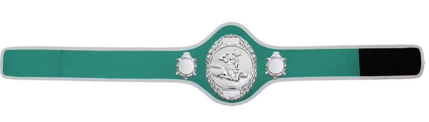 MMA CHAMPIONSHIP BELT-PRO286/S/MMAS-10+ COLOURS